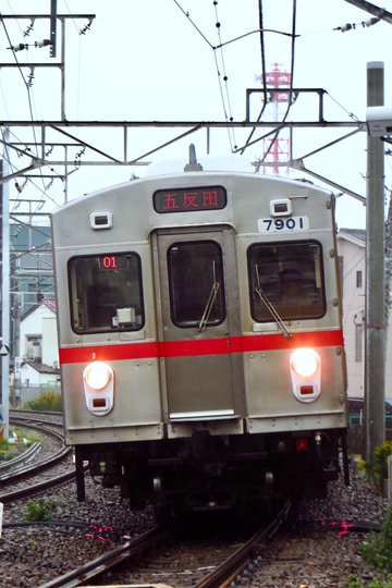 東急電鉄  7700系 7901F 