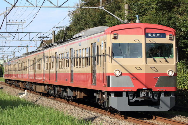 新宿線車両所玉川上水車両基地101系1259Fを青梅街道～一橋学園間で撮影した写真