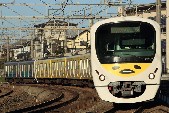 武蔵丘車両管理所30000系38105Fを所沢～秋津間で撮影した写真