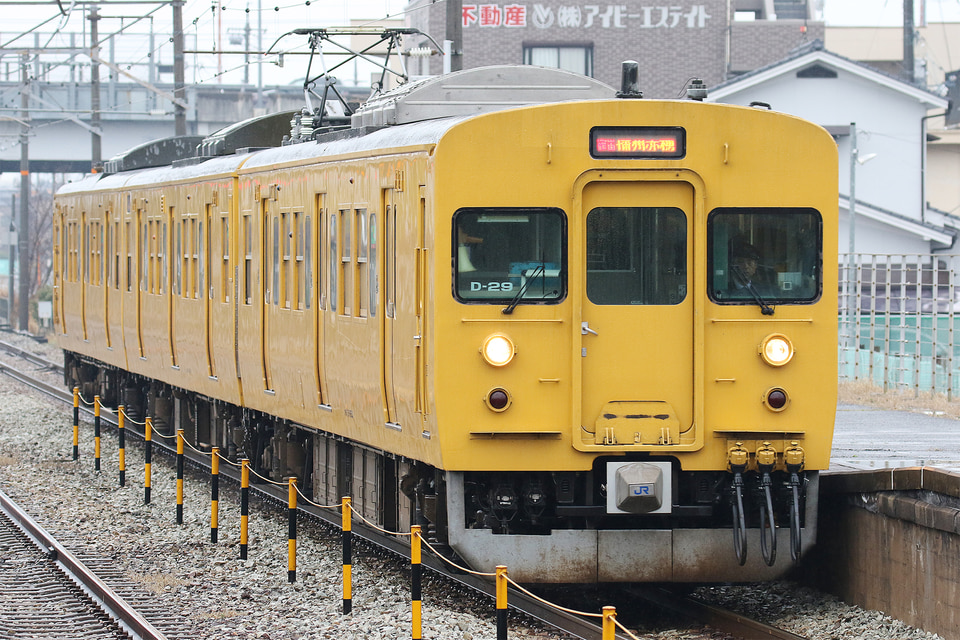 JR西115系D29編成<br class="br-sp" />(D-29編成)(オカD29編成)(オカD-29編成)の写真