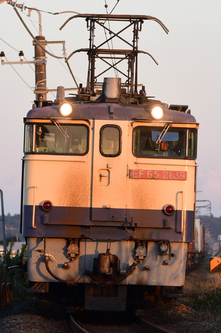 新鶴見機関区 EF65 2139 の写真 |鉄道写真投稿サイトTrain-Directory