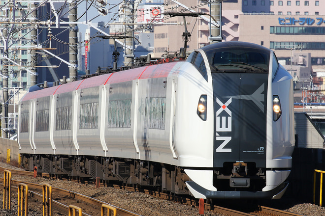 E259系クラNe008編成を本八幡駅で撮影した写真