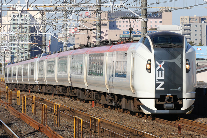E259系クラNe021編成を本八幡駅で撮影した写真