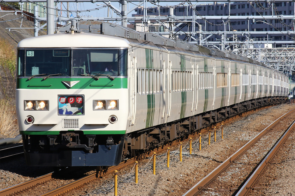 JR東185系オオA8編成<br class="br-sp" />(オオA8)(A8編成)の写真