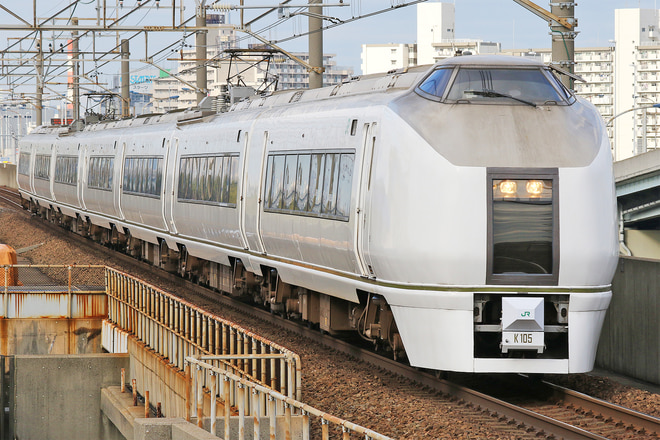 651系カツK105編成を舞浜駅で撮影した写真