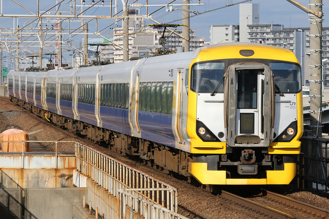 E257系マリNB-02編成を舞浜駅で撮影した写真