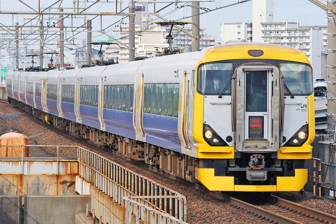 E257系マリNB-14編成を舞浜駅で撮影した写真