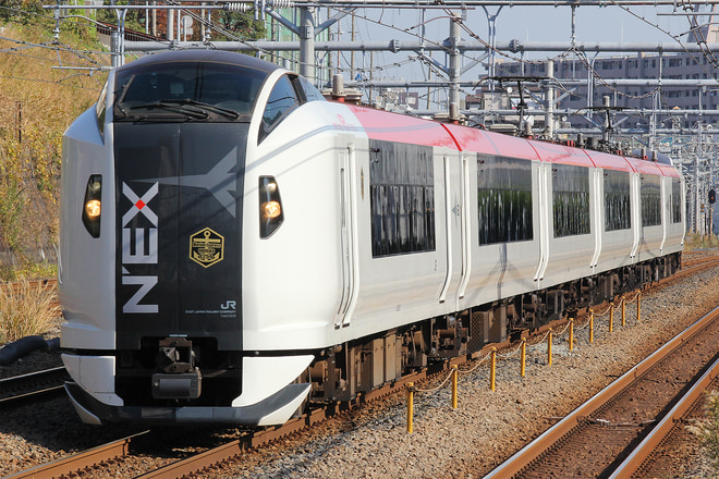 E259系クラNe022編成を新子安駅で撮影した写真