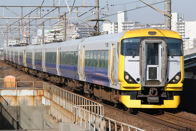 E257系マリNB-14編成を舞浜駅で撮影した写真
