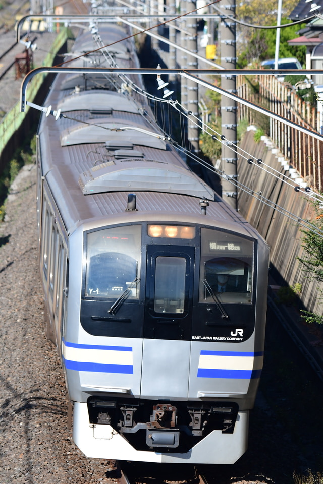 JR東E217系クラY-1編成<br class="br-sp" />(Y-1編成)(Y1編成)の写真