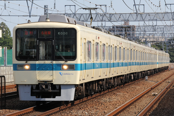8000形8256Fを和泉多摩川駅で撮影した写真