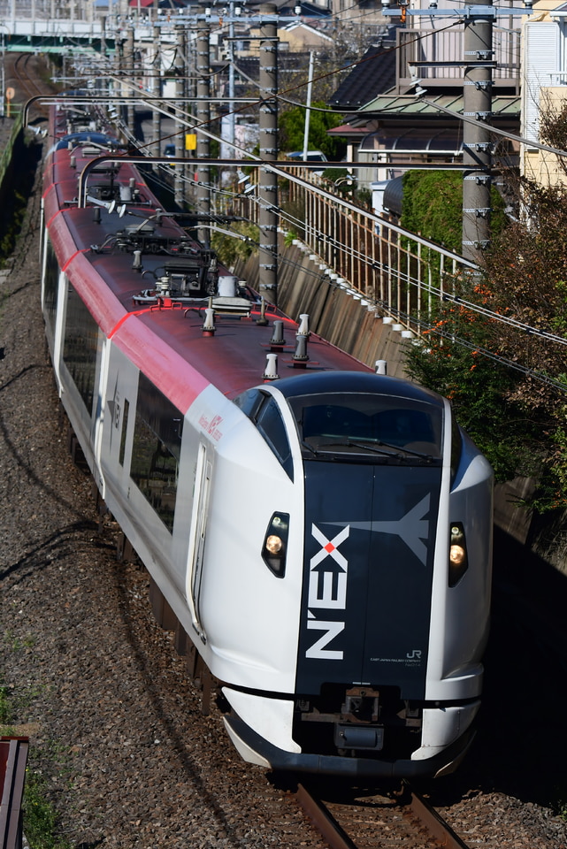 JR東E259系クラNe014編成<br class="br-sp" />(Ne014編成)(Ne014編成)の写真