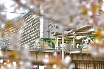 東急電鉄  7000系 
