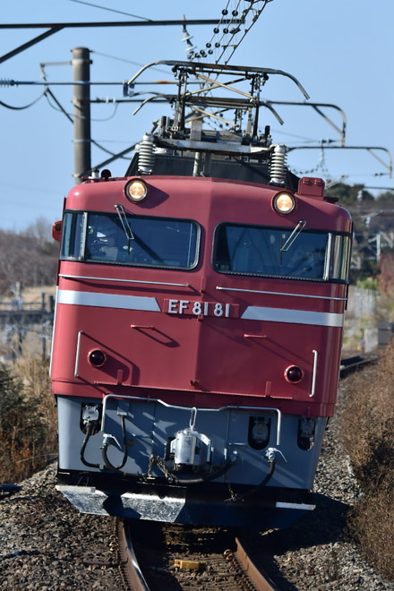 田端運転所 EF81 81 の写真 |鉄道写真投稿サイトTrain-Directory