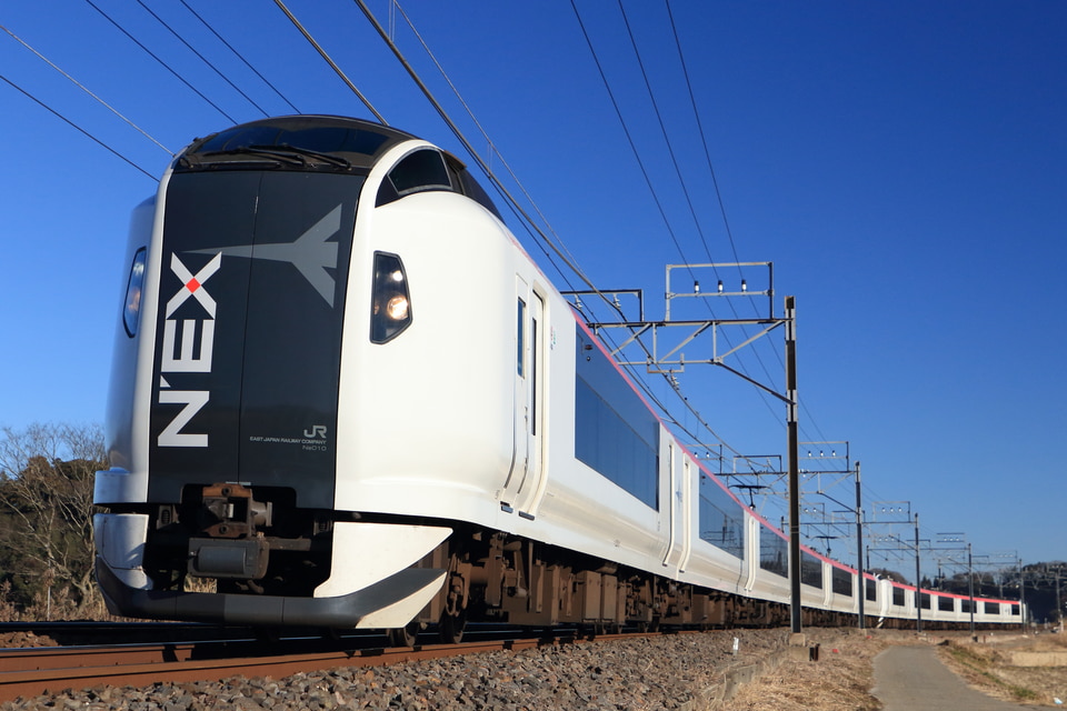 JR東E259系クラNe010編成<br class="br-sp" />(Ne010編成)(Ne010編成)の写真