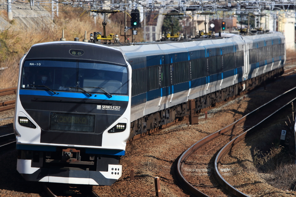 JR東E257系オオNA-10編成<br class="br-sp" />(オオNA-10)(NA10編成)(NA-10編成)の写真