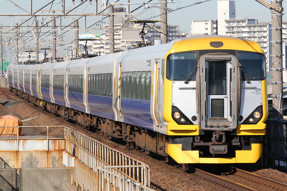 JR東E257系マリNB-09編成<br class="br-sp" />(NB-09編成)(マリNB-09)の写真