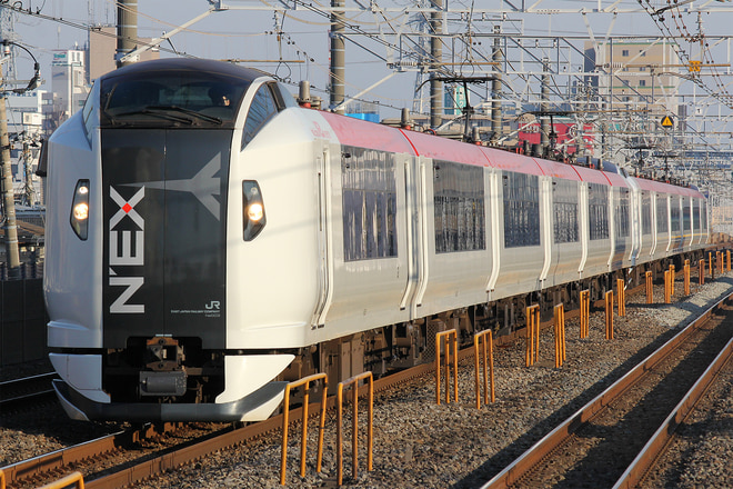E259系クラNe003編成を下総中山駅で撮影した写真
