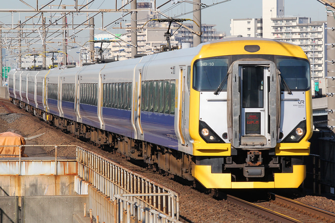 E257系マリNB-10編成を舞浜駅で撮影した写真