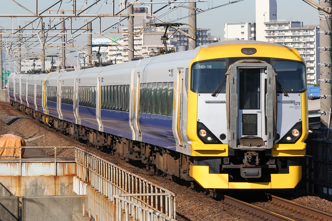 E257系マリNB-16編成を舞浜駅で撮影した写真