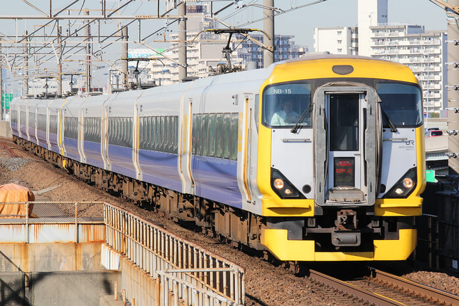 E257系マリNB-15編成を舞浜駅で撮影した写真