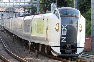 JR東日本  E259系 クラNe012編成