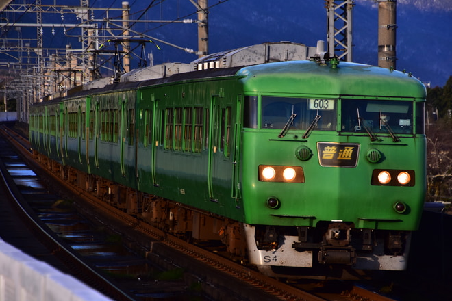 吹田総合車両所京都支所117系S4編成を蓬莱駅で撮影した写真