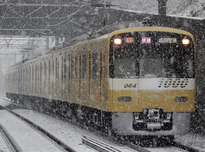 国鉄　ハッピ 乗車できるしあわせの黄色い電車」京急イエローハッピートレイン