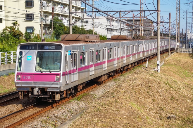 8000系8101Fを江田～市が尾間で撮影した写真