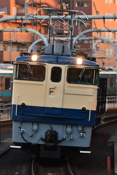 JR東日本 田端運転所 EF65 1115