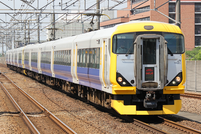E257系マリNB-03編成を新浦安駅で撮影した写真