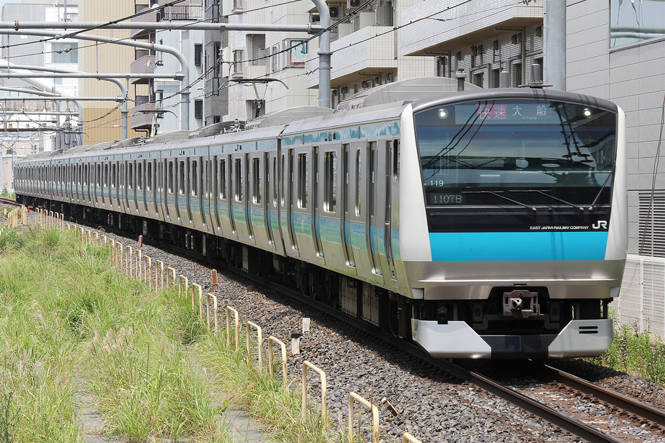 JR東E233系サイ119編成<br class="br-sp" />(ウラ119編成)の写真