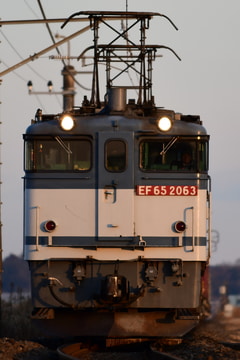 JR貨物 新鶴見機関区 EF65 2063