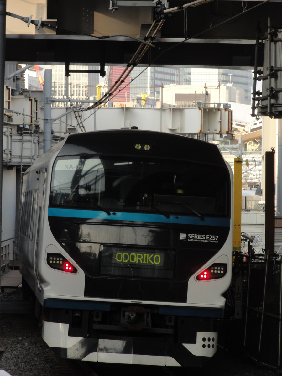 JR東日本  E257系 