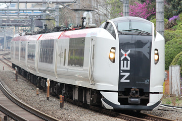 JR東日本  E259系 クラNe006編成