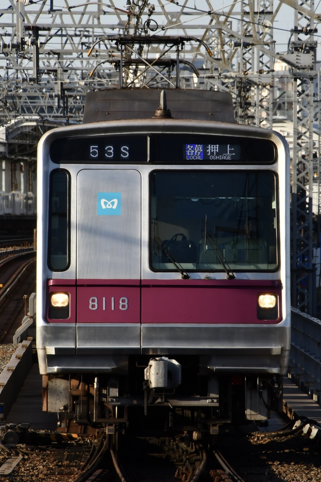 鷺沼検車区 8000系 8118F の写真 |鉄道写真投稿サイトTrain