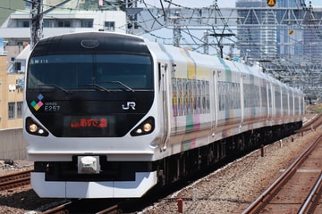 JR東日本  E257系 M-111編成