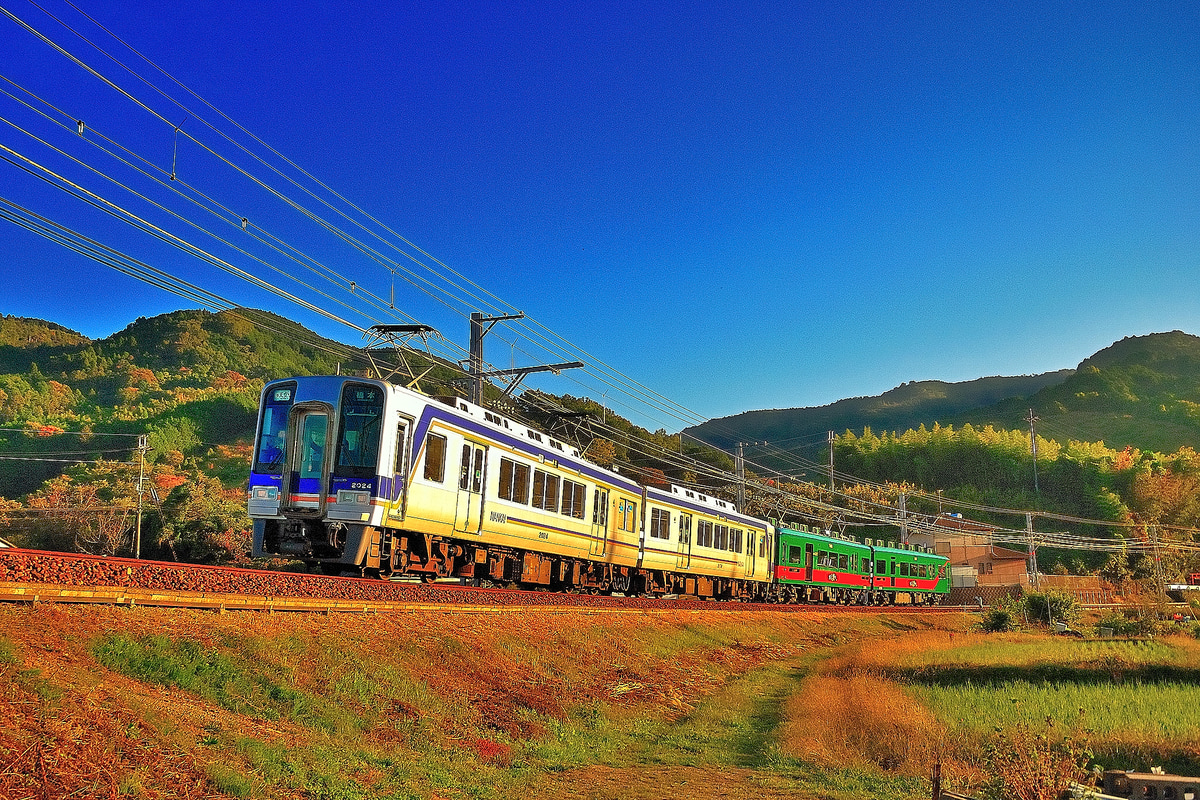 南海電気鉄道 小原田検車区 2000系 2024F