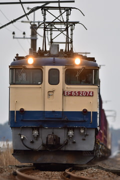 JR貨物 新鶴見機関区 EF65 2074