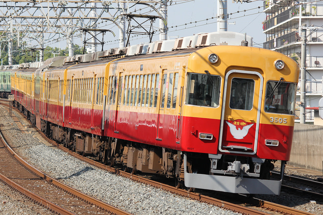 8000系8531Fを大和田駅で撮影した写真