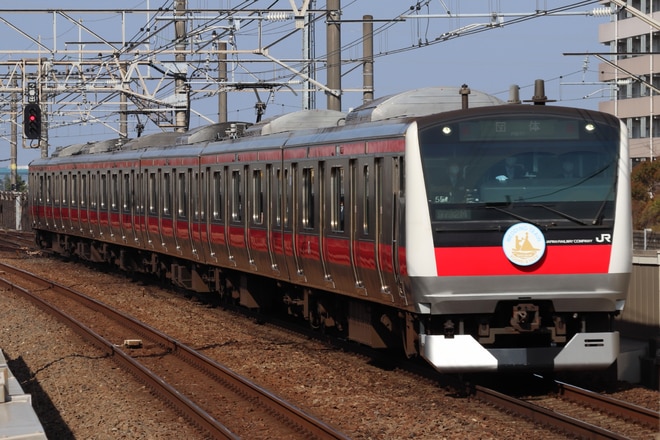 京葉車両センターE233系ケヨ551編成を新浦安駅で撮影した写真