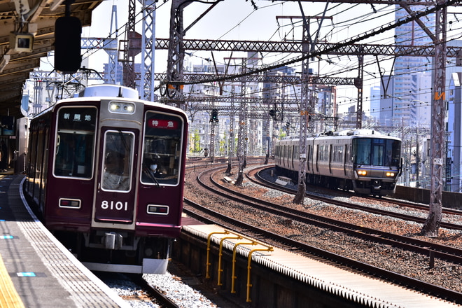 西宮車庫 8000系 8001F の写真 |鉄道写真投稿サイトTrain-Directory