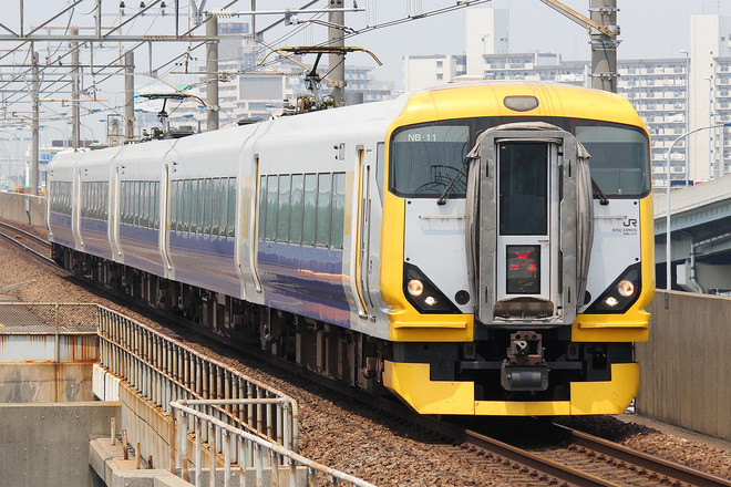 E257系マリNB-11編成を舞浜駅で撮影した写真