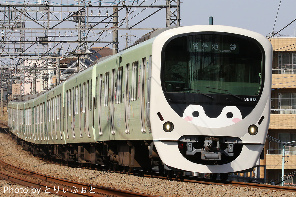 西武30000系38113F<br class="br-sp" />(38113編成)の写真