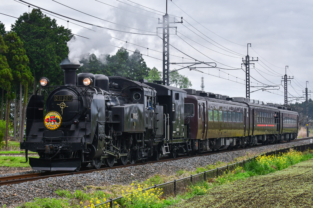 東武鉄道 下今市機関区 C11 207