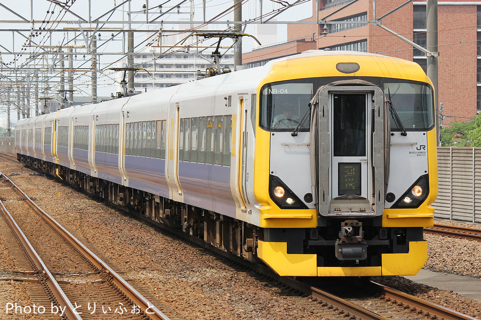 JR東E257系マリNB-04編成<br class="br-sp" />(NB-04編成)(マリNB-04)の写真