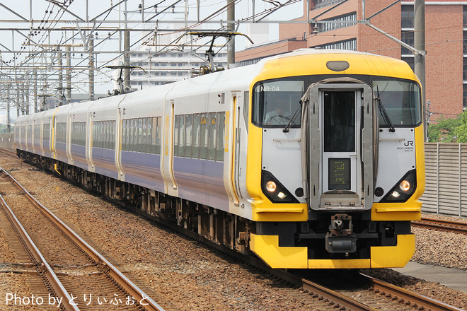 E257系マリNB-04編成を新浦安駅で撮影した写真