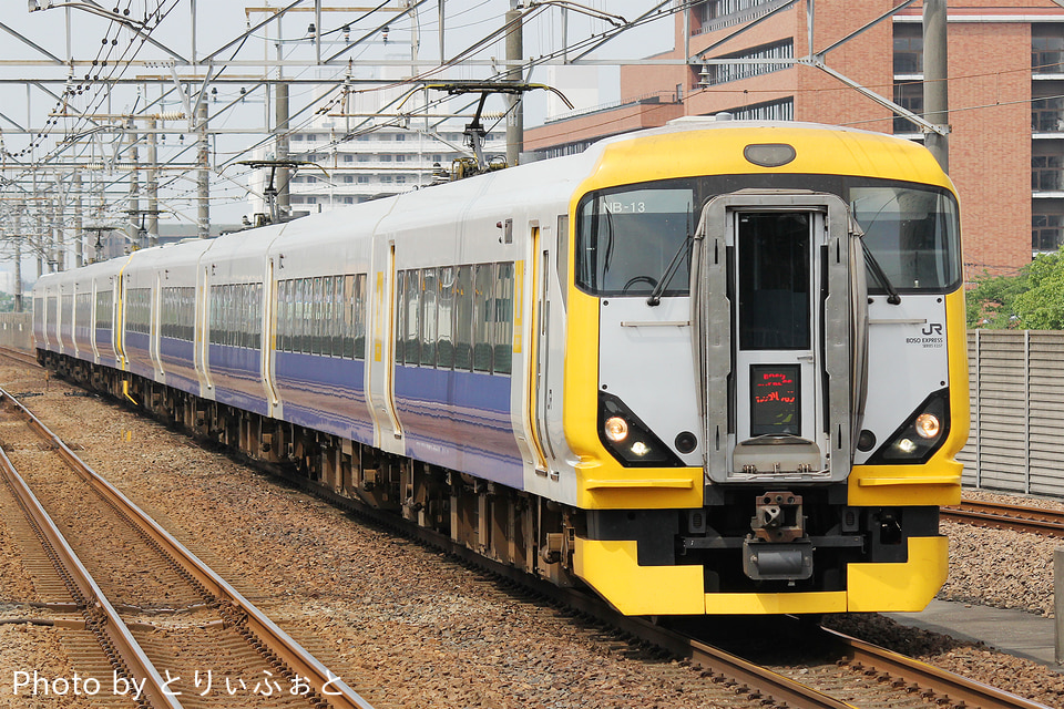 JR東E257系マリNB-13編成<br class="br-sp" />(NB-13編成)(マリNB-13)の写真