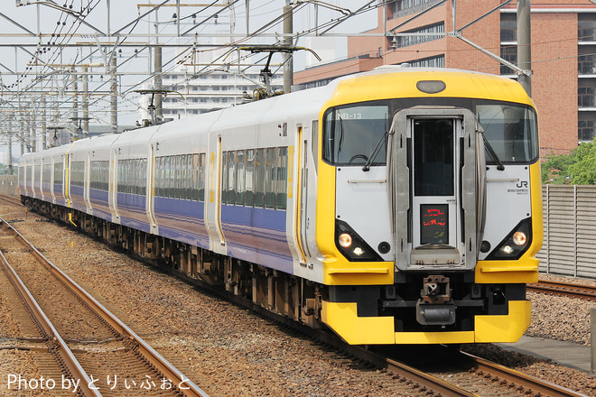 E257系マリNB-13編成を新浦安駅で撮影した写真