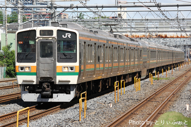 高崎車両センター211系タカC8編成を西川口駅で撮影した写真